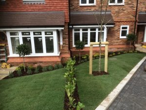 Landscaping - Kent, East Sussex, West Sussex & Surrey Home Improvements - Consumer Advisory