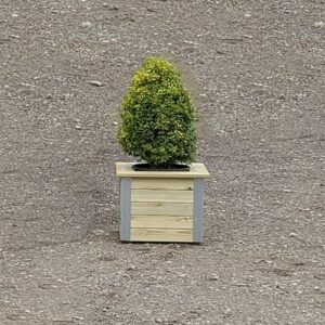 Planter with metal edges