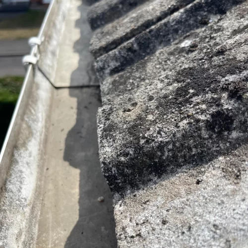 CAL Asbestos Roof 2