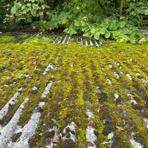 CAL Asbestos Roof 4