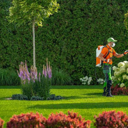 Landscaping, Garden Maintenance, Tree Surgery and Mini Digger Hire Project 1