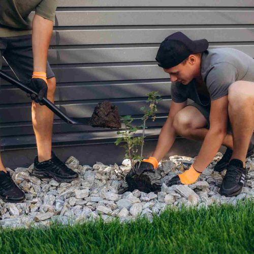 Landscaping, Garden Maintenance, Tree Surgery and Mini Digger Hire Project 11