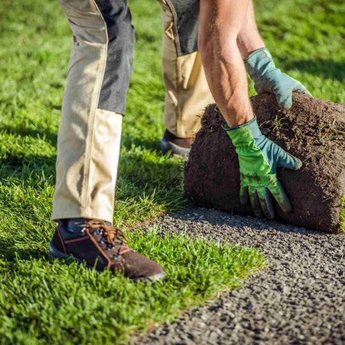 Landscaping, Garden Maintenance, Tree Surgery and Mini Digger Hire Project 14