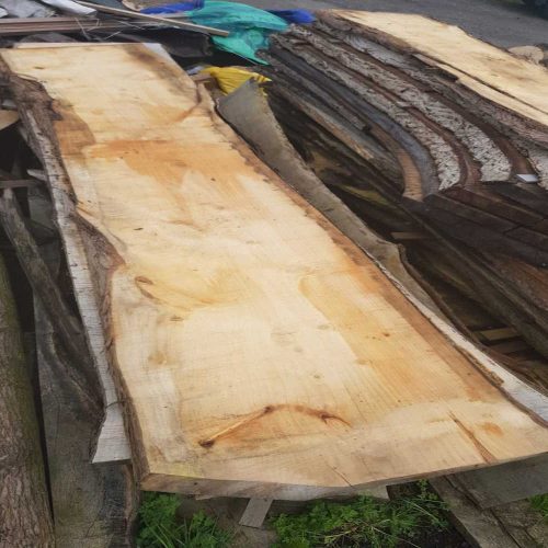 Landscaping, Garden Maintenance, Tree Surgery and Mini Digger Hire Project 5