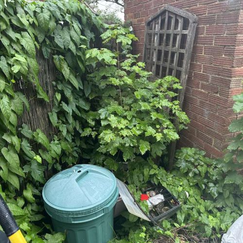 Garden & Site Clearance - Kent, East Sussex, West Sussex & Surrey Home Improvements
