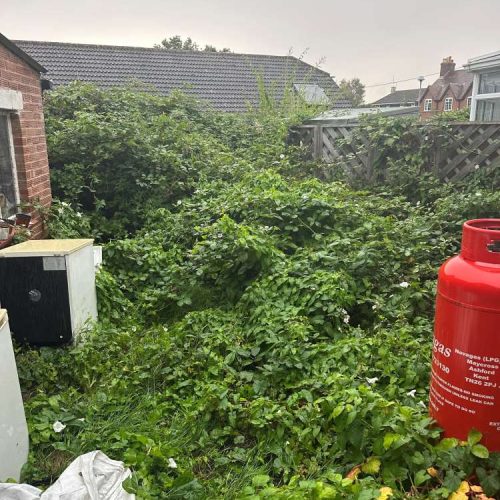 Garden & Site Clearance - Kent, East Sussex, West Sussex & Surrey Home Improvements